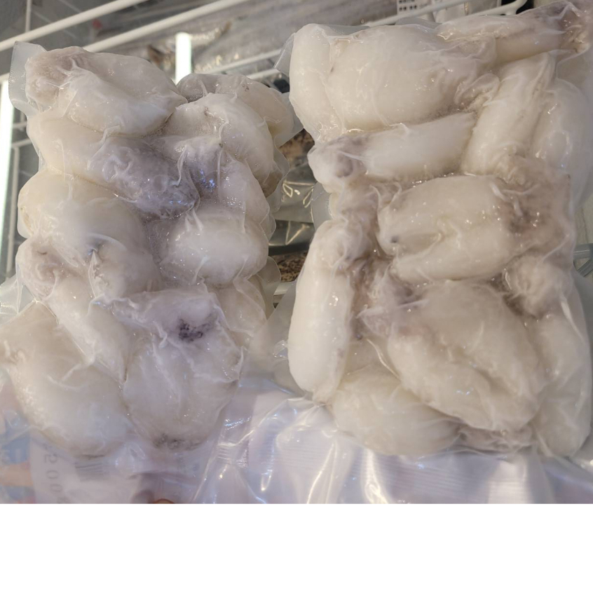 小花枝(4/6)500g – 博丰水產